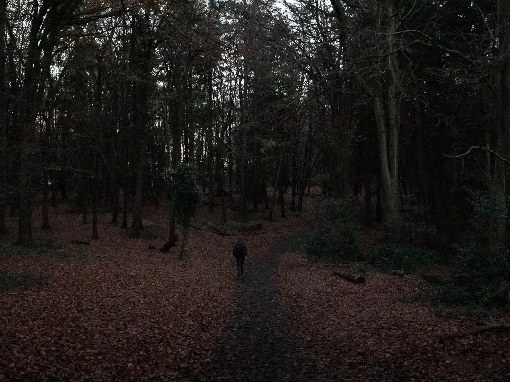 A man walking on a trail deep into the dark woodland.