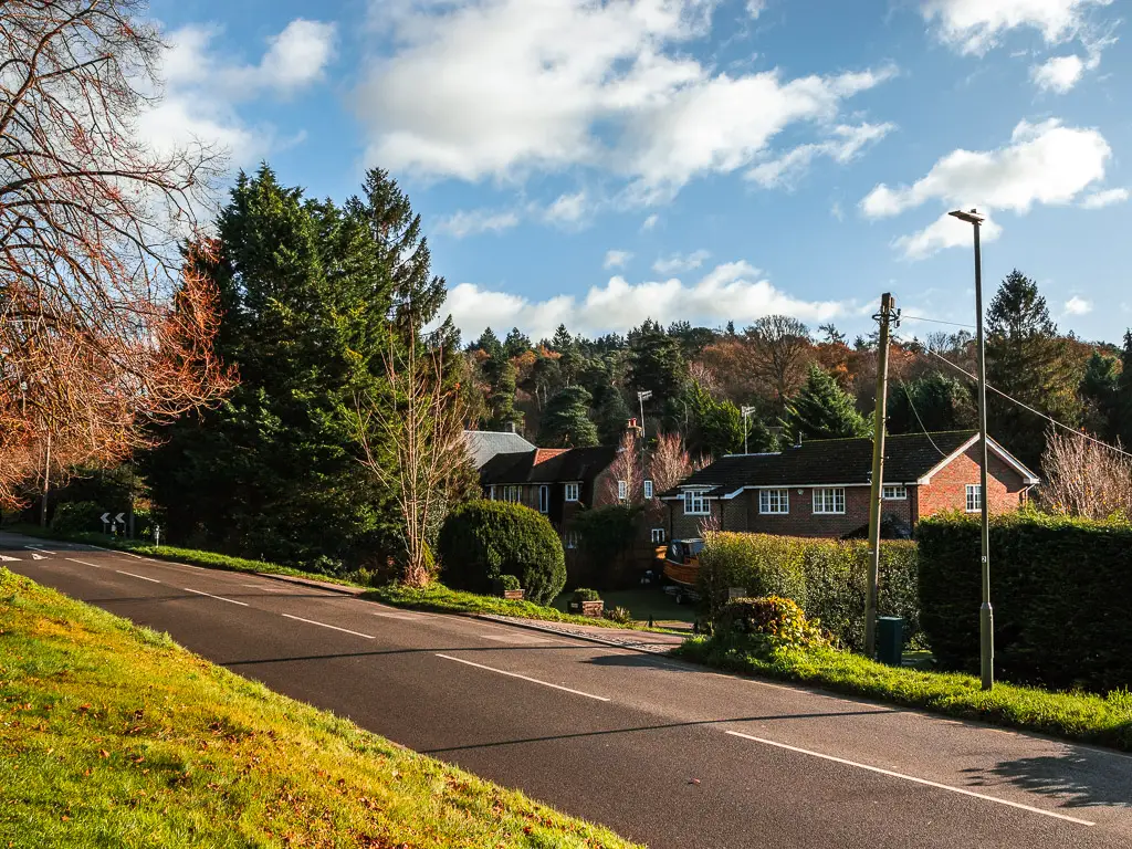 Looking across the road to the houses and all the tree tops behind them.