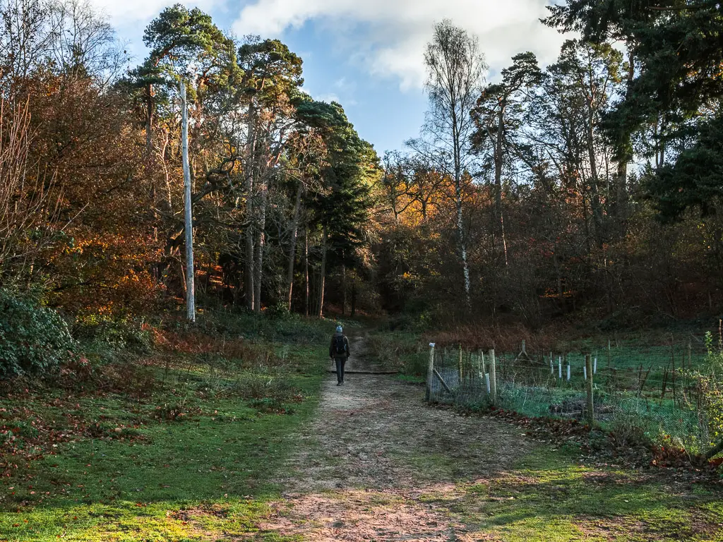 A man ahead, on a walk up the trail towards Chantry wood and St Martha's Hill.