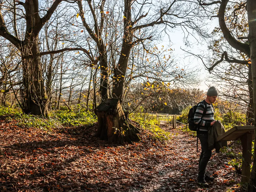 A man standing reading the information board near the gate out of Chantry wood.