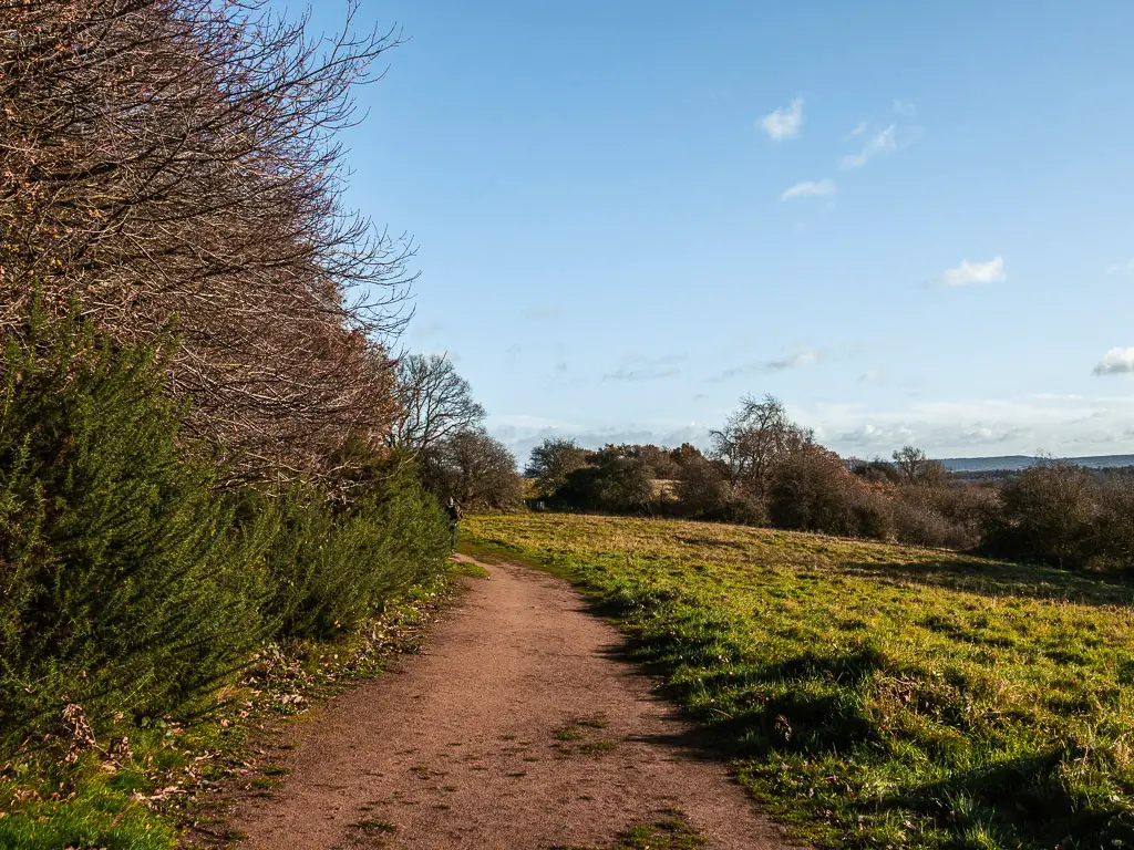 A path with green bushes and hedge to the left and a down hill to the right. the sky is blue.