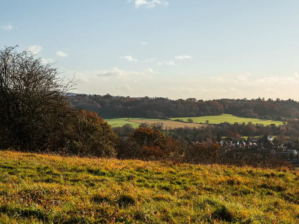 Looking across the field to the patchwork fields and trees in the distance on the walk towards Newlands Corner and St Martha's Hill.