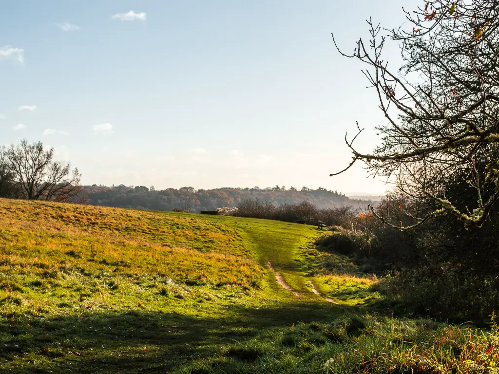 Looking across a green grass field with a grass trail and tree tops way in the distance.