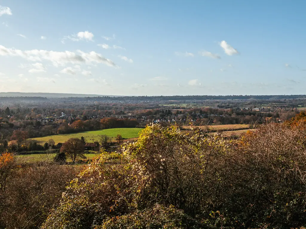 Looking across the tree tops to the fields and tree view in the distance.