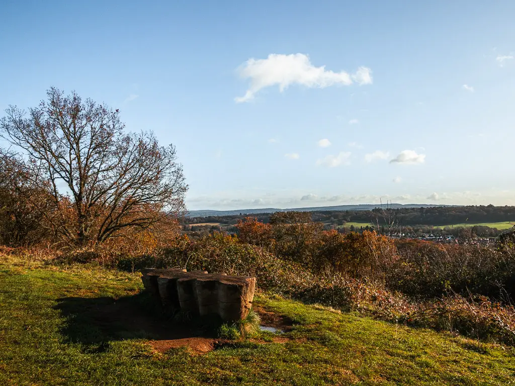 A man made tree trunk bench on top of a hill on the walk towards St Martha's Hill and Newlands Corner.