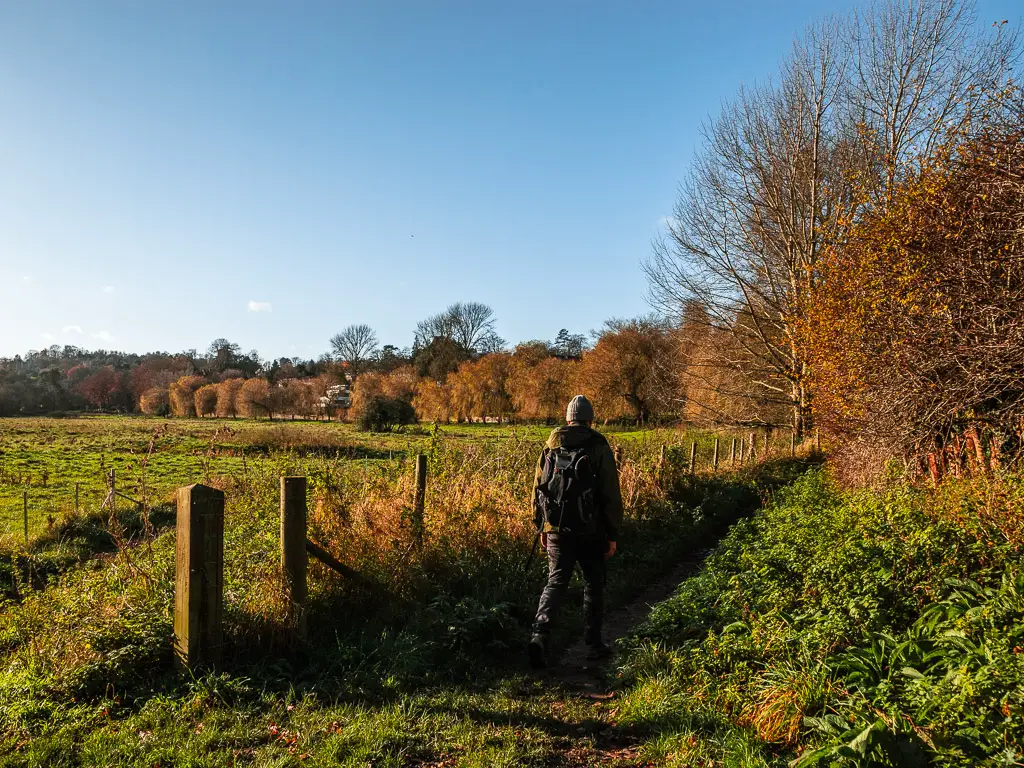 A man walking along a trail on the edge of a field. 