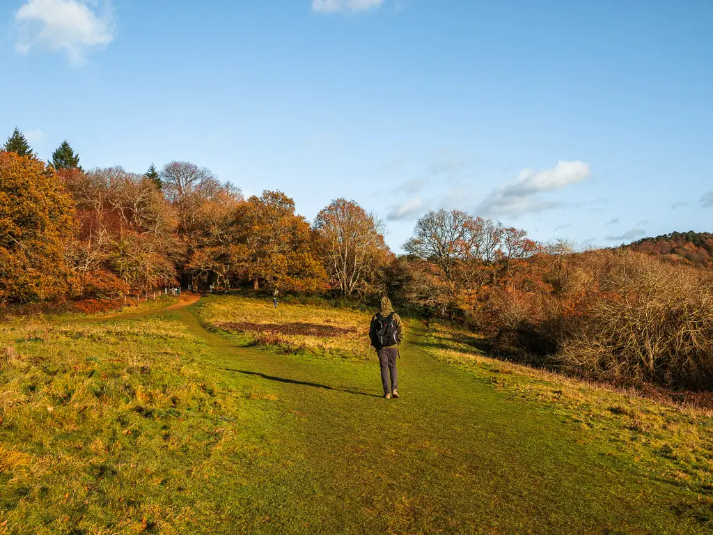 A man walking on a grass trail to the woodland trees ahead.