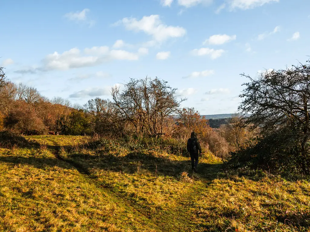 Two grass trails and a man walking down the right one.