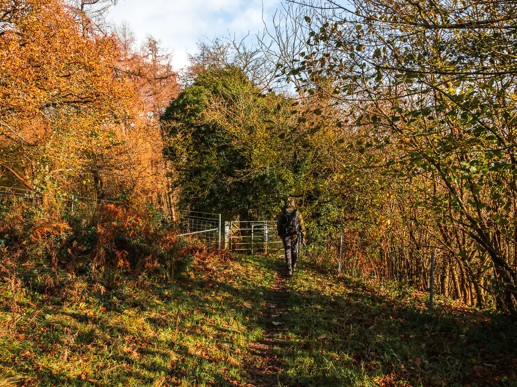 A man walking along a dirt track in the grass to the metal gate.