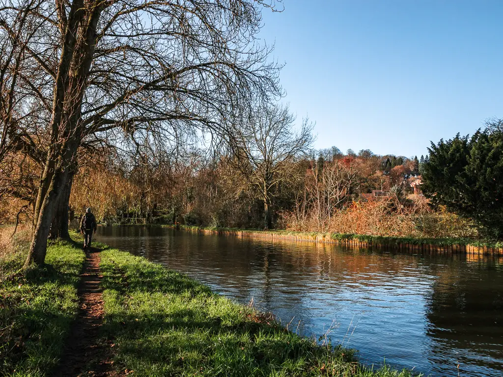 A man walking along a narrow trail next to the River Wey in Guidlford. 