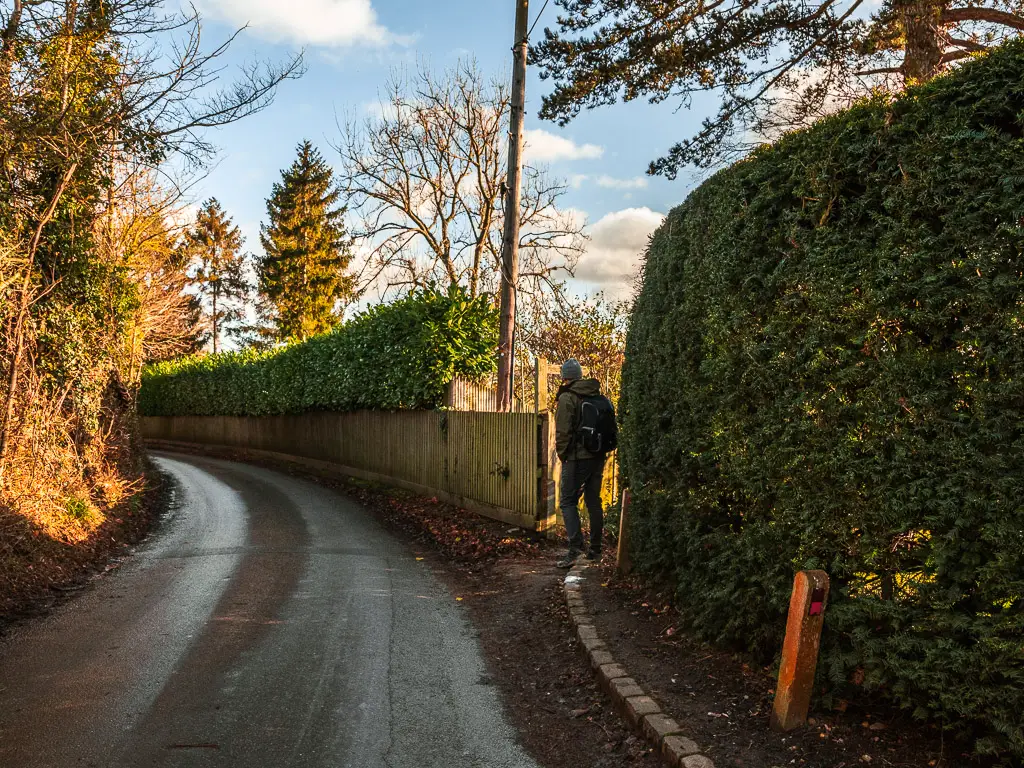 A road, with a trail leading off it to the right next to a hedge. There is a man walking onto the trail.