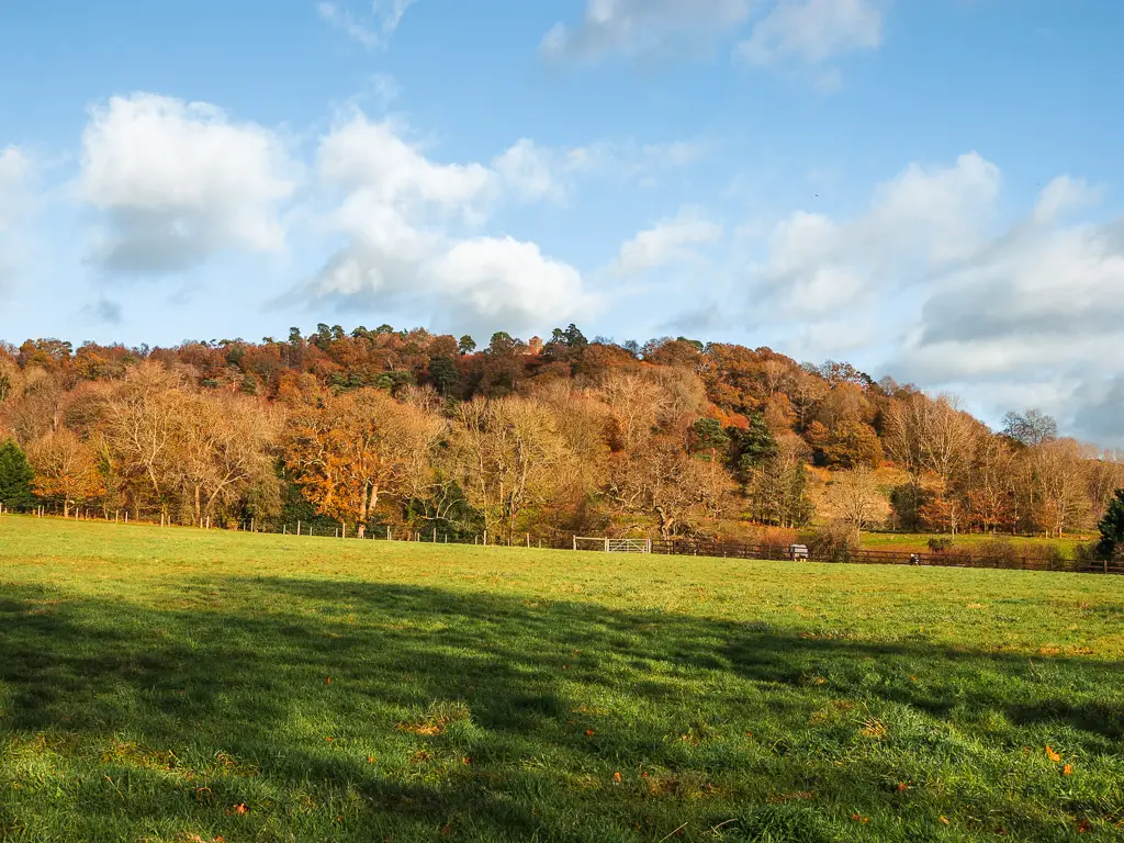 Looking across the green grass field towards the trees on St Martha's Hill on the circular walk between Guidlford and Newlands Corner. The sky is blue with a few white clouds.