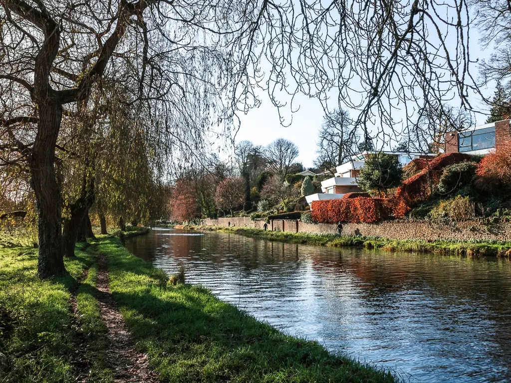 The trail lined with overhanging trees next to the River Wey.