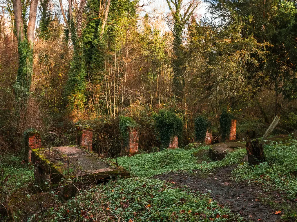 Remains engulfed by greenery on the walk through the Chilworth Gunpowder mills.