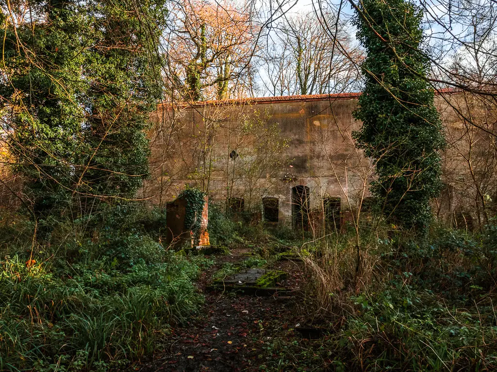 Remains surrounded by overgrown greenery at the Chilworth gunpowder mill, on the walk between St Martha's Hill and Newlands Corner.