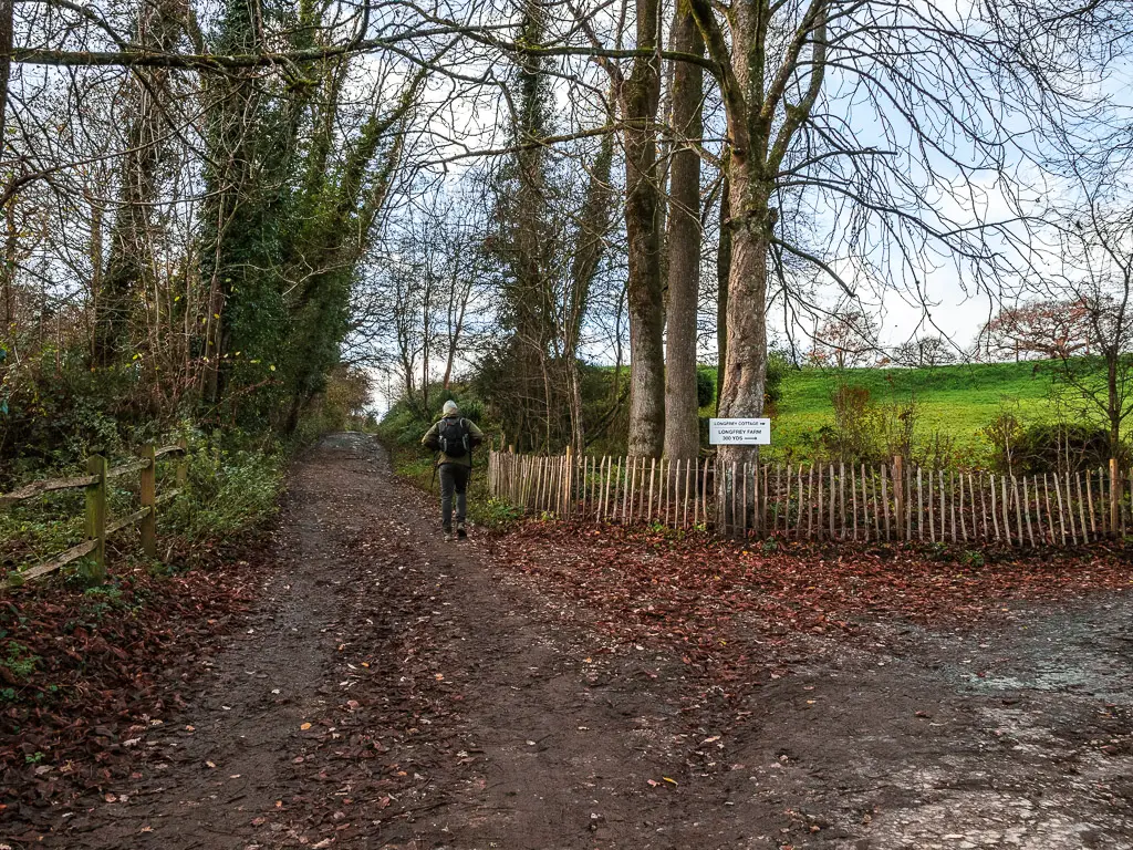 A man walking uphill on the dirt road covered in red fallen leaves on the  walk towards Newlands Corner.