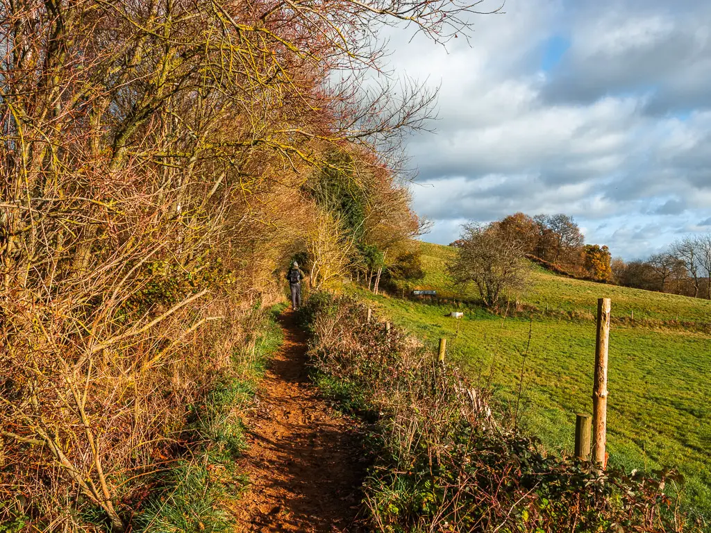 A dirt trail with leafless bushes on the left and a wire fence on the right on the walk towards Newlands Corner. There is a man waking on the trail.