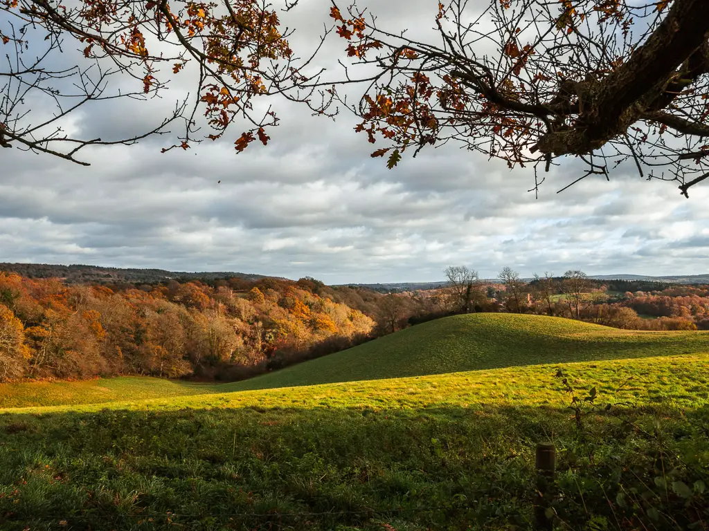 Looking across a green field with a hill on the walk towards Newlands Corner in the Surrey Hills. There are trees on the other side of the field and hill.