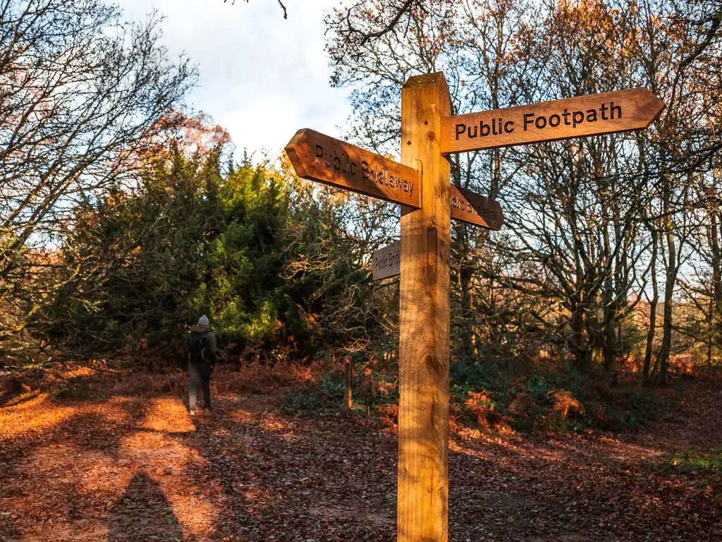 A wooden signpost on the circular Newlands Corner, St Martha's Hill walk.