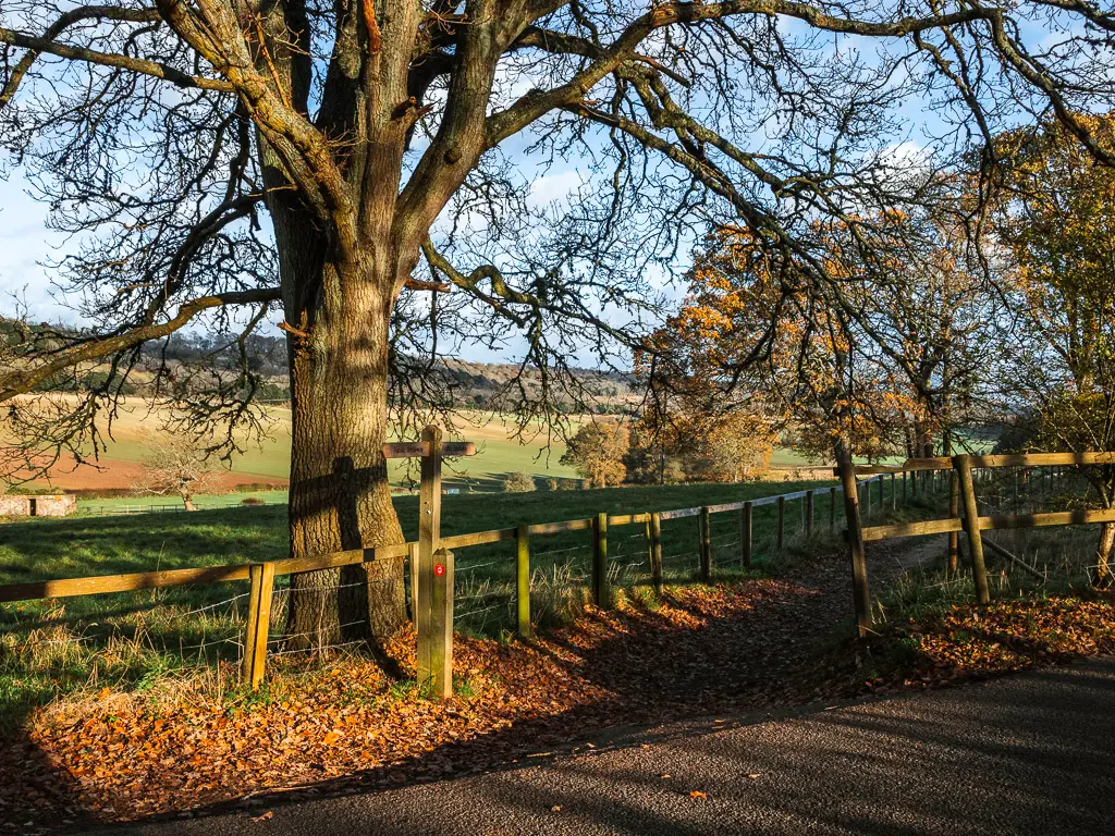 Looking across the road to a trail with a wooden signpost. There is a big tree next to the trail, and a wooden and wire fence.