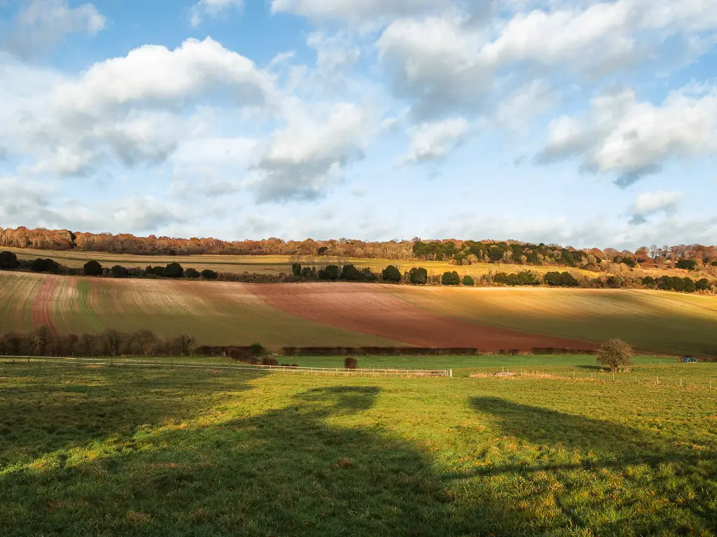 Looking to the hill of Newlands Corner on the circular walk via St Martha's Church and Guildford.