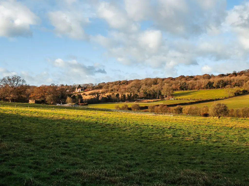 Looking across the green grass field to the hill leading up to Newlands Corner on the walk from St Martha's Hill and Guidlford. 