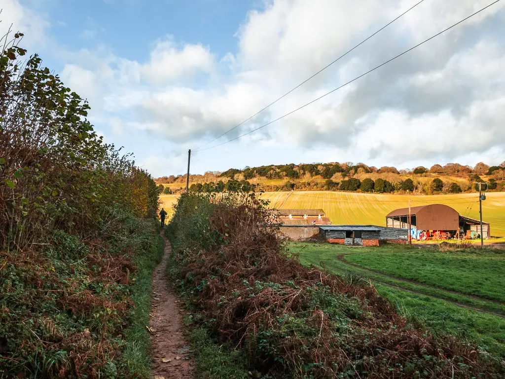 A narrow dirt trail through the grass and bushes with farm building on the right.