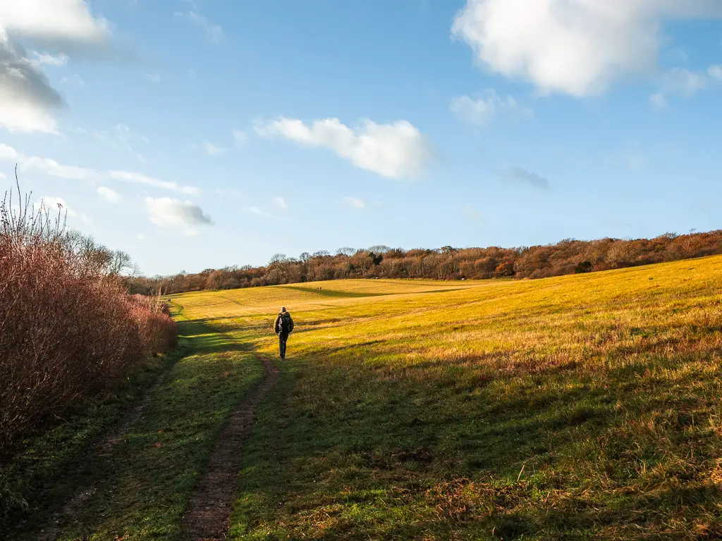 A man on a walk along a trail on the hill of Newlands Corner.