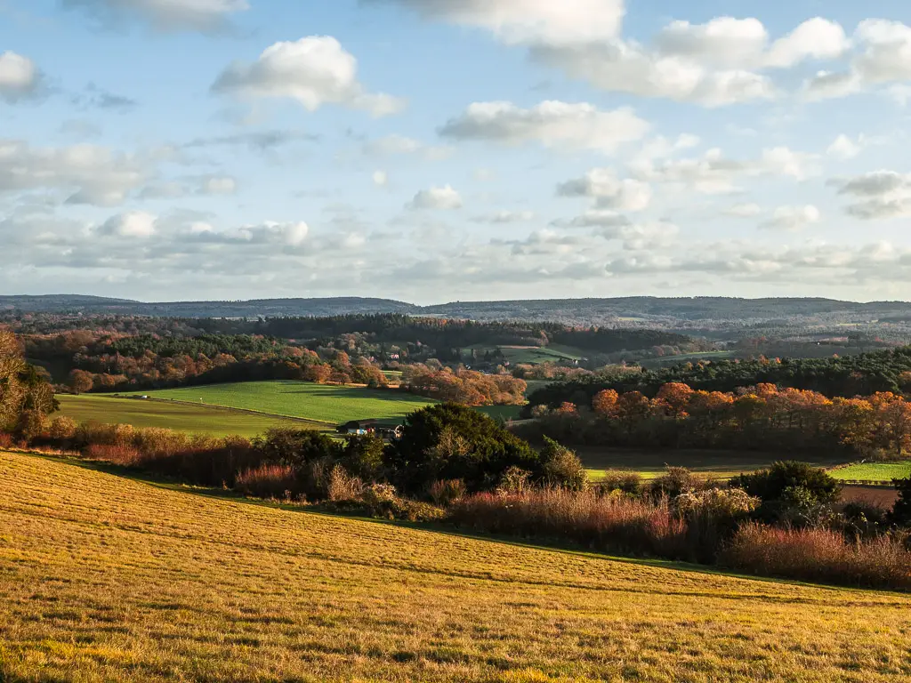 Looking down the hill to the undulating green landscape on the walk along the top of Newlands Corner.