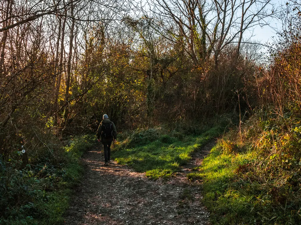 A dirt trail split, divided by grass. There is a man walking on the left trail.