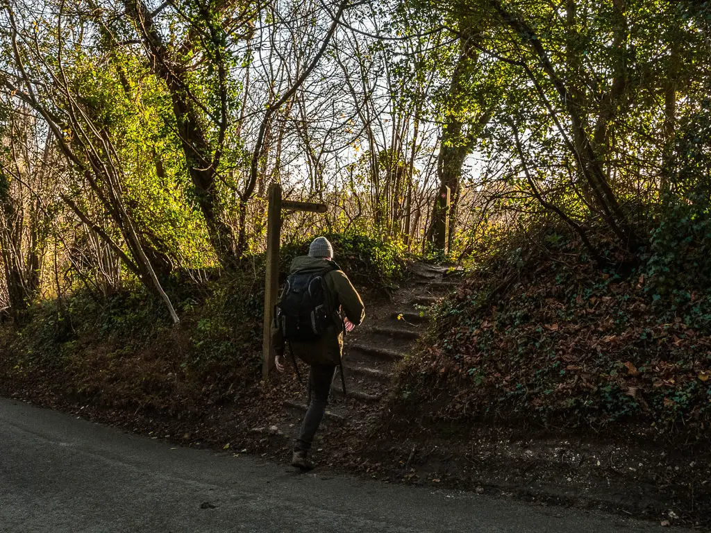 A man on a walk up some steps onto the road side trail on the walk from Newlands Corner to St Martha's Hill.