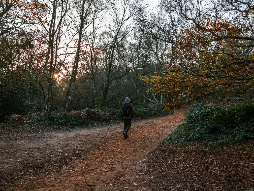 A man walking along the sandy path in the woodland of the Surrey Hills.