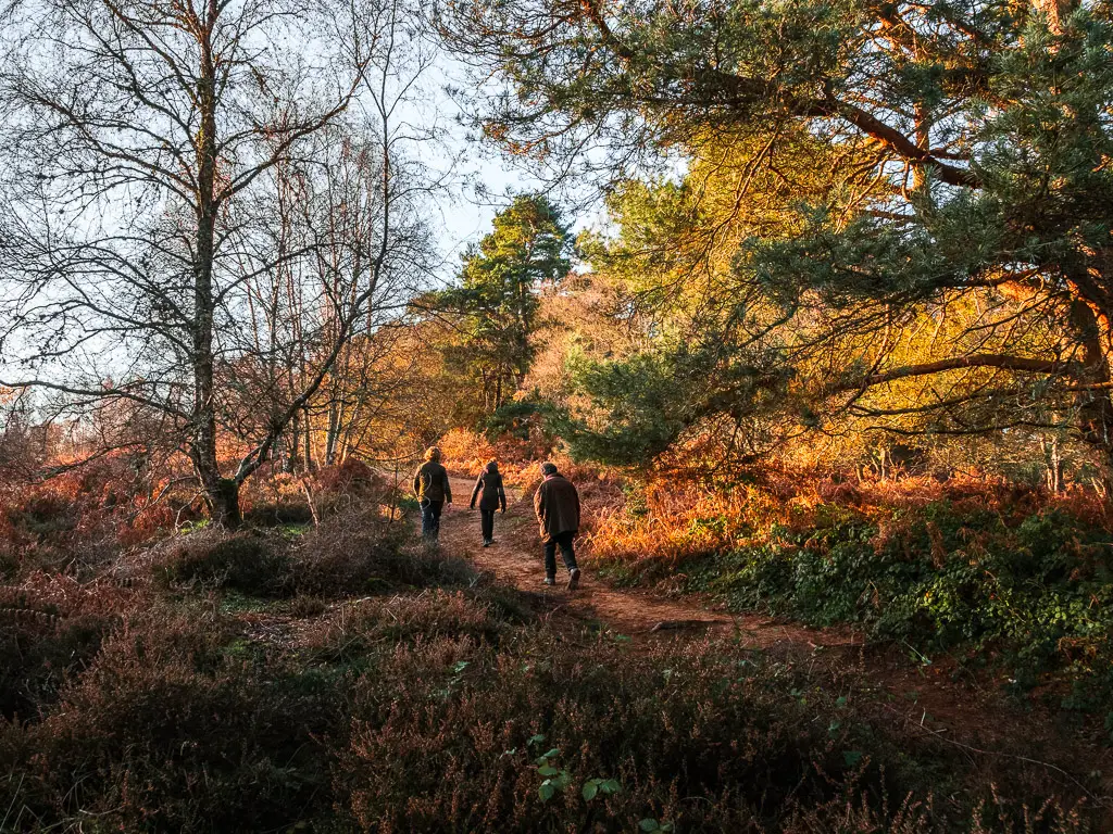 Three people walking along a trail surround by bushes and trees on an autumn day.