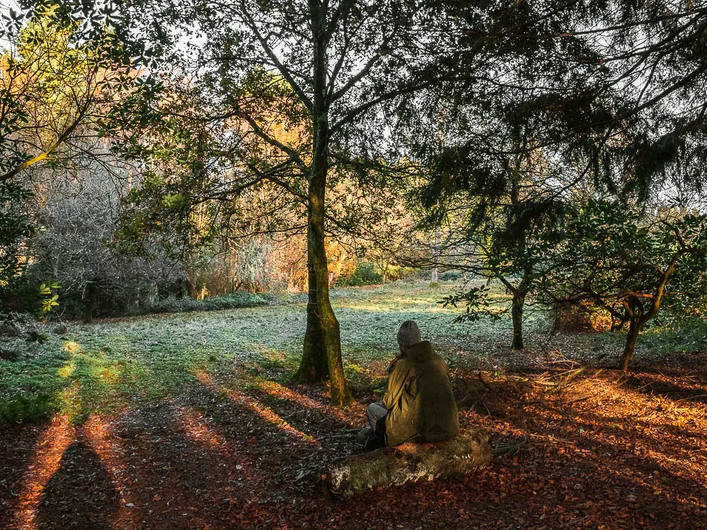 A man sitting on a log in the shade under the trees. 