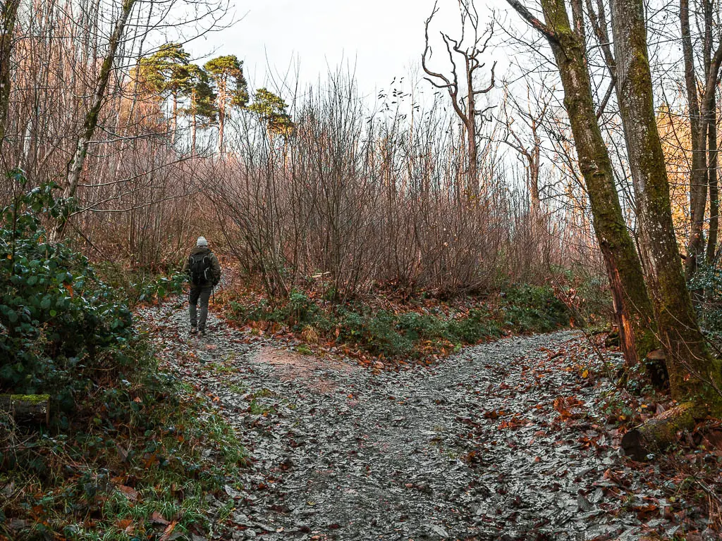 A dirt trail spilt in the woods. There is a man walking up the left trail.