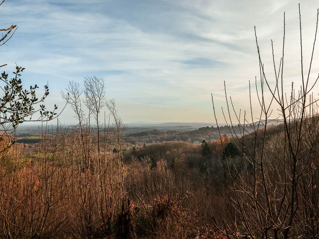 Looking out to the view of the South Downs in the distance on the hindhead devil's punch bowl walk from Haslemere.