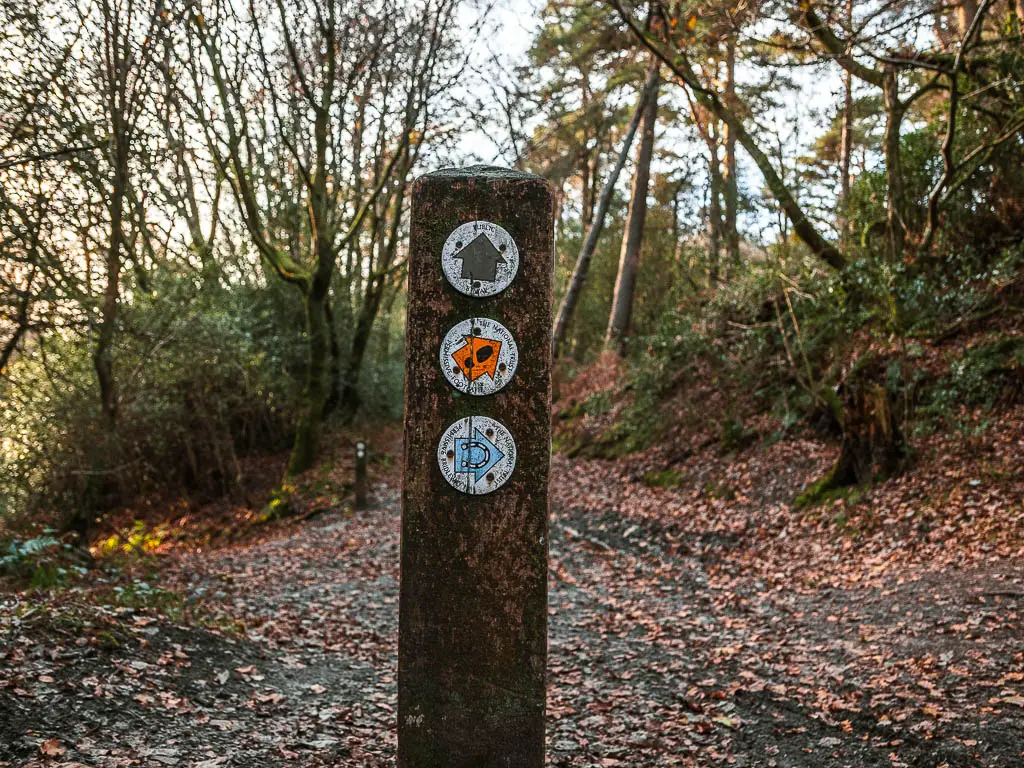 A wooden trail signpost with three different coloured arrows.