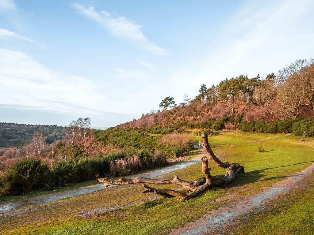 Standing on the green on the top of devil's punch bowl. There is a large sitting log.