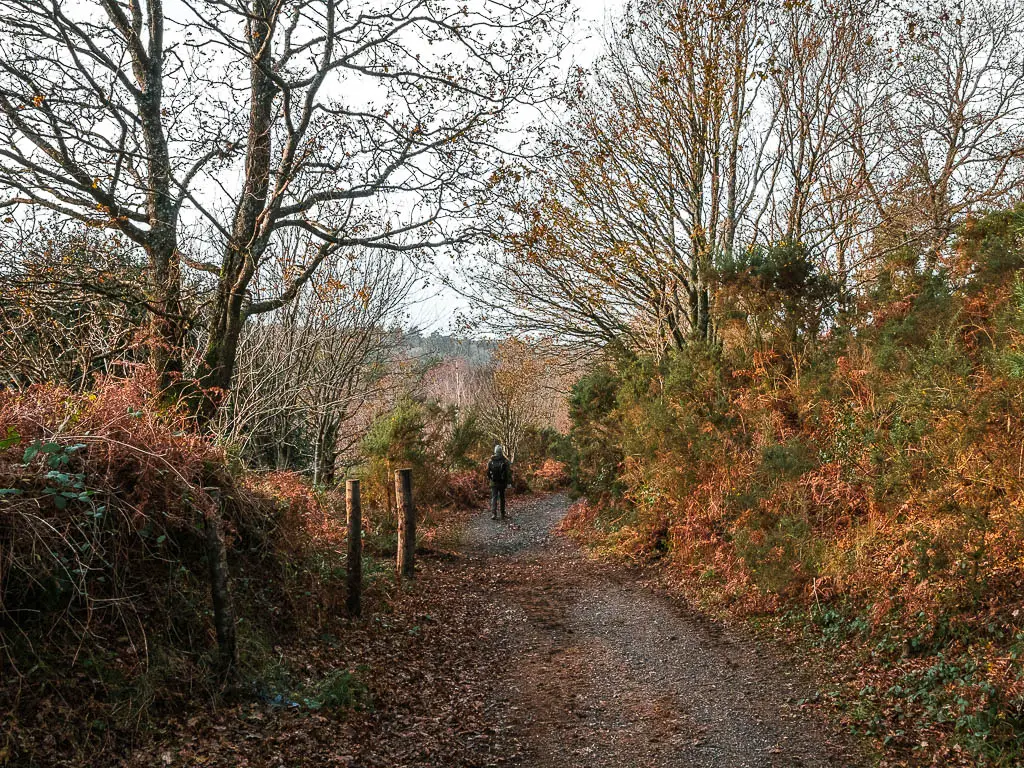 a man walking down a gravel dirt path on the walk into devil's punch bowl. the path is surrounded by bushes and trees.