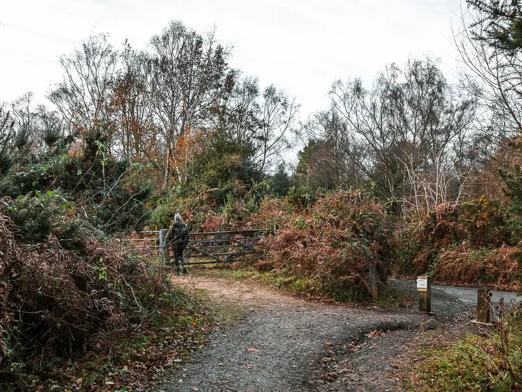 A man walking through a metal gate surrounded by bushes.