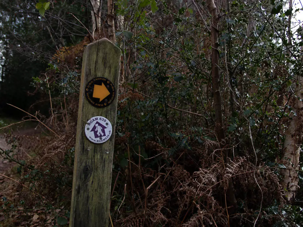 A wooden trail signpost with an orange arrow.