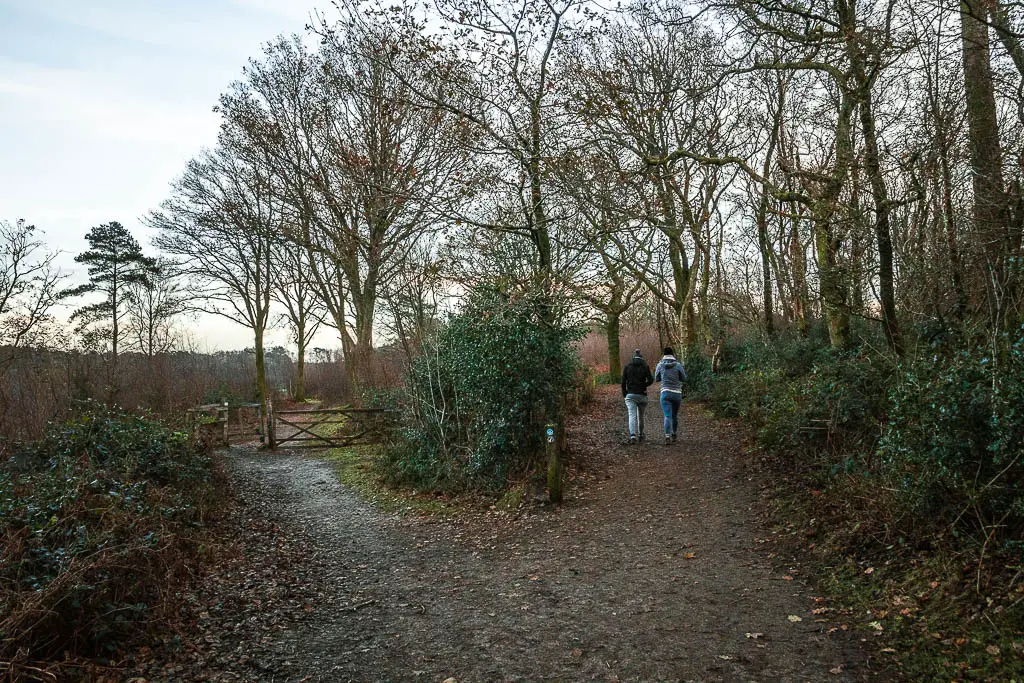 Two people on a walk on the right fork in the trail at the top of Devil's punch bowl in Surrey.