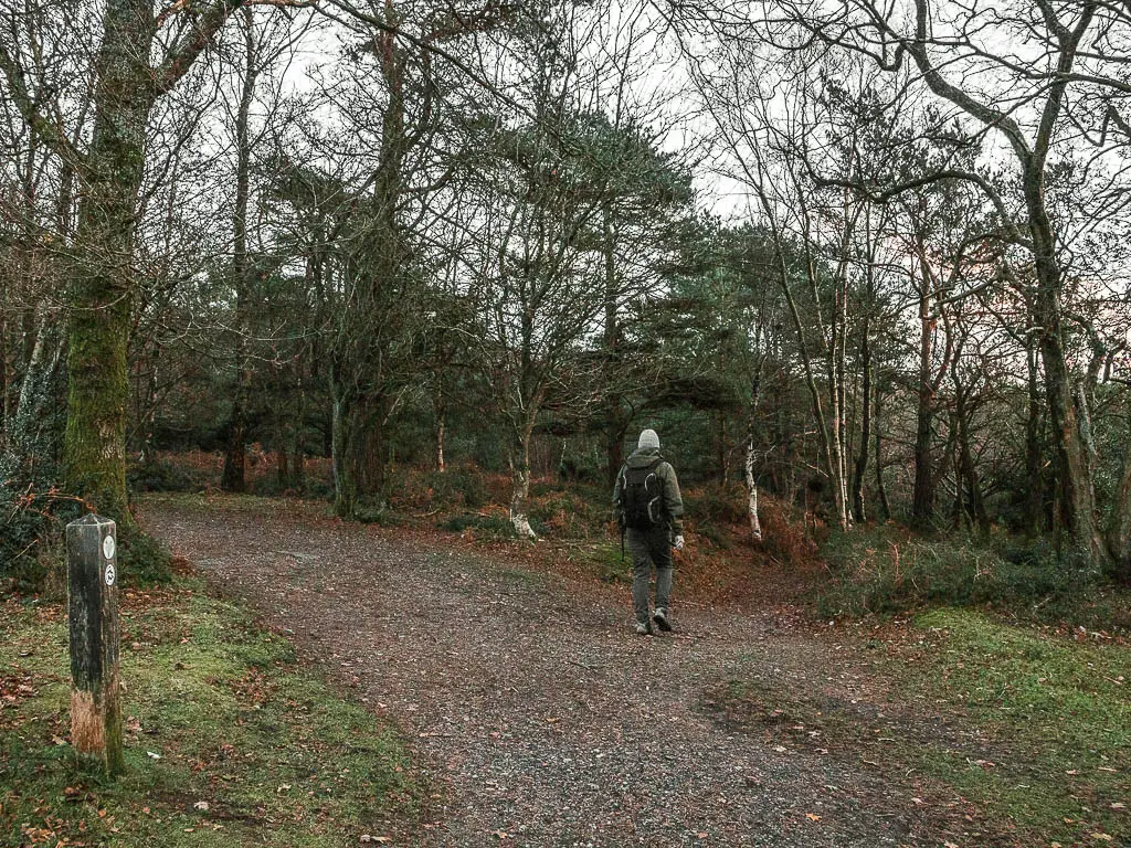 A man on a walk on a gravel trail in the woods around Hindhead in Surrey.