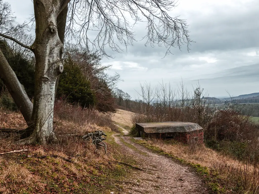 A dirt trail running along the hill top, with a WWII pillbox nestled in the side of the hill on the right, and a big tree on the left.