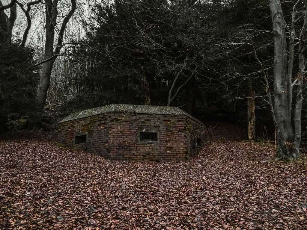 A brick war pillbox surrounded by brown fallen leaves in the woodland.