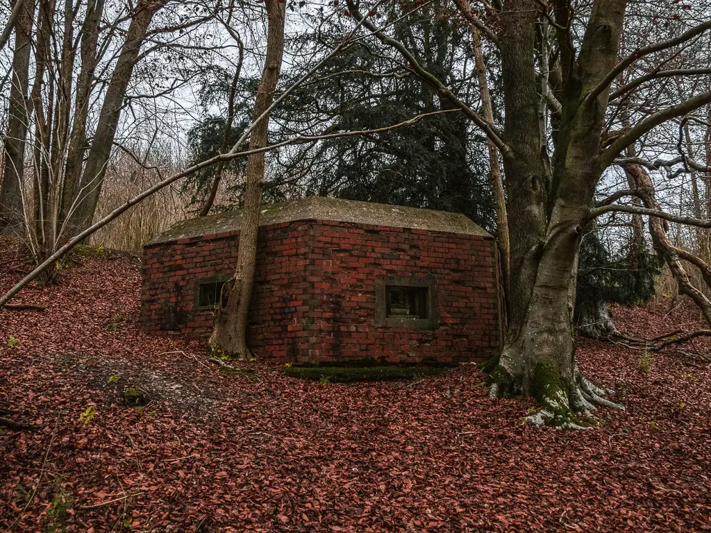 A red bricked war pillbox behind some trees on the walk from Guildford to Westhumble. The ground is covered in fallen red and brown leaves.