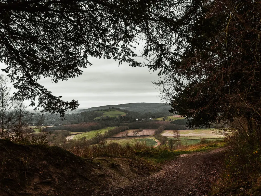 Looking through the overhanging tree branches to the view of the green hills in the distance on Surrey.