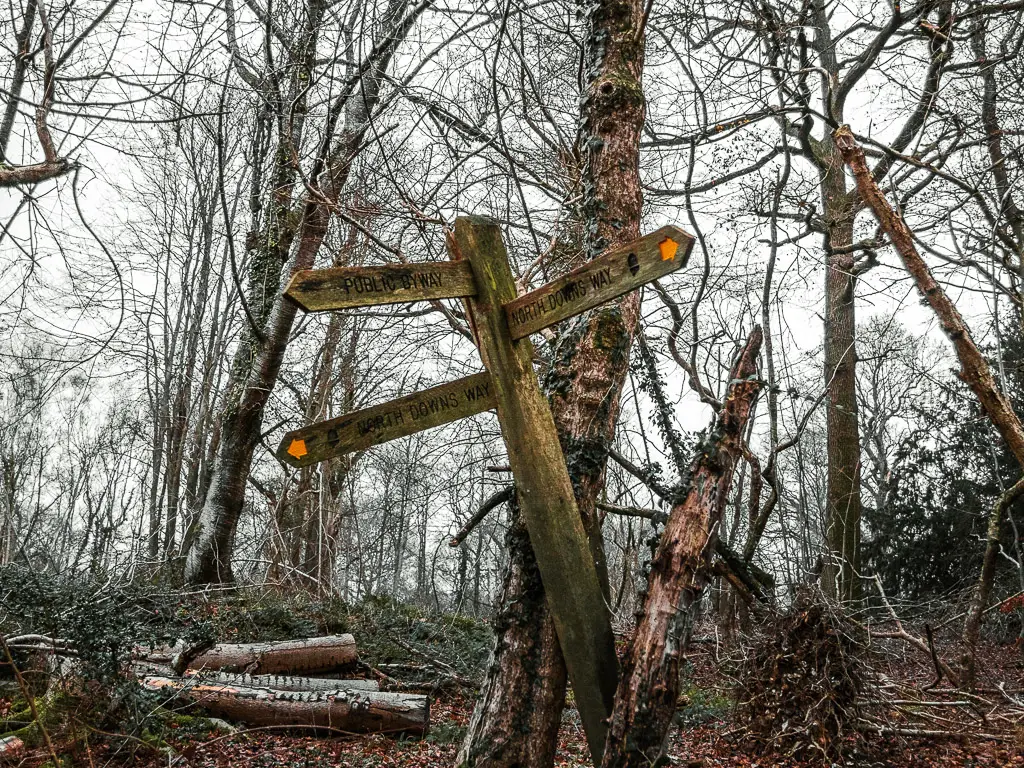 A wooden North Downs Way signpost resting on a tree on the walk from Guildford to Westhumble. The sign points in three directions. 
