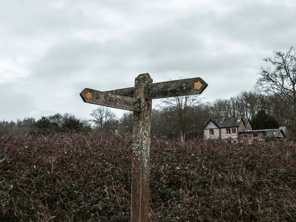A wooden trail signpost marking the north downs way stage 2 walk route. The signpost has yellow arrows and is standing in front of a hedge with a house on the other side.