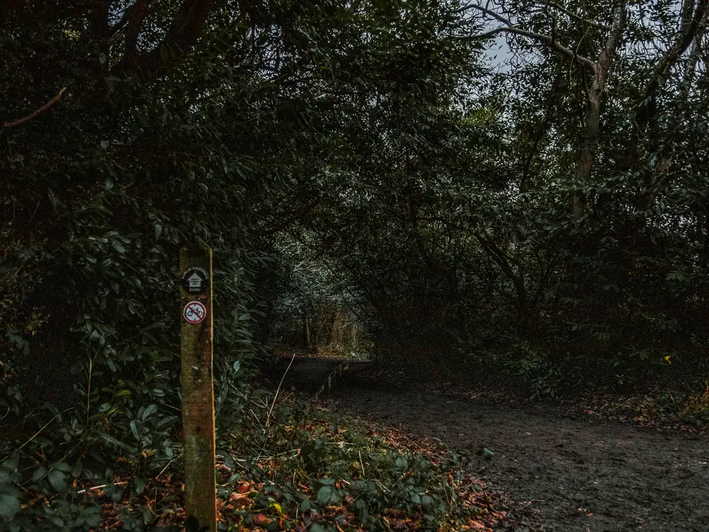 A wooden signpost next to a dirt trail towards the end of the walk from Guildford to Westhumble. The trail runs under overgrown green bushes and trees. 